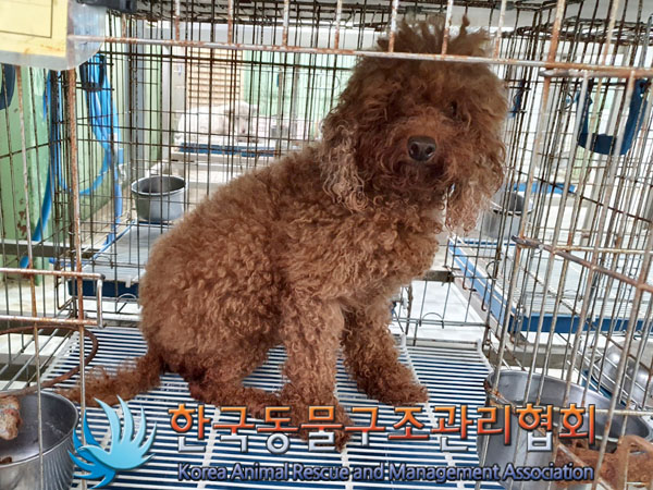 한국동물구조관리협회_411322202300462