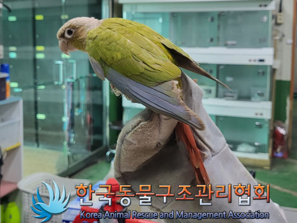 한국동물구조관리협회_441382202300507