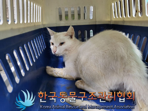 한국동물구조관리협회_441559202300800