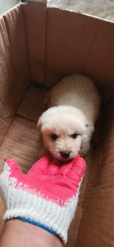 익산유기동물보호소_445468202301513