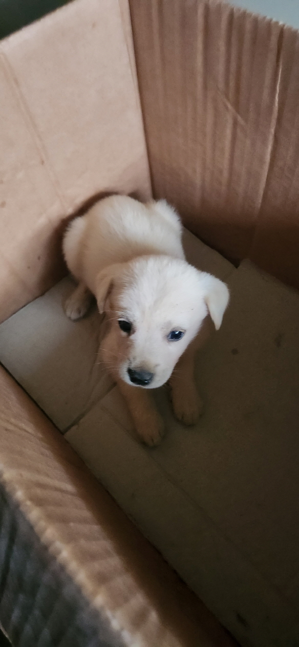 익산유기동물보호소_445468202301511