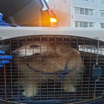 누리동물병원_426333202300576