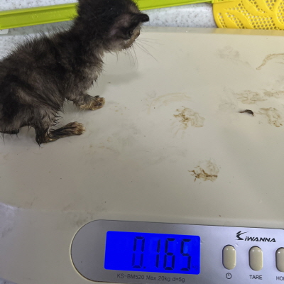 누리동물병원_426333202300577