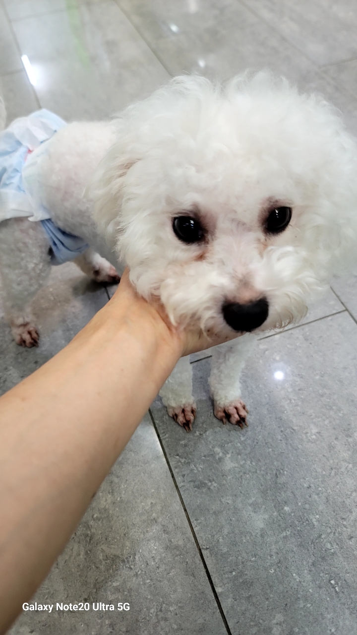 펫앤쉘터동물병원_441378202301350