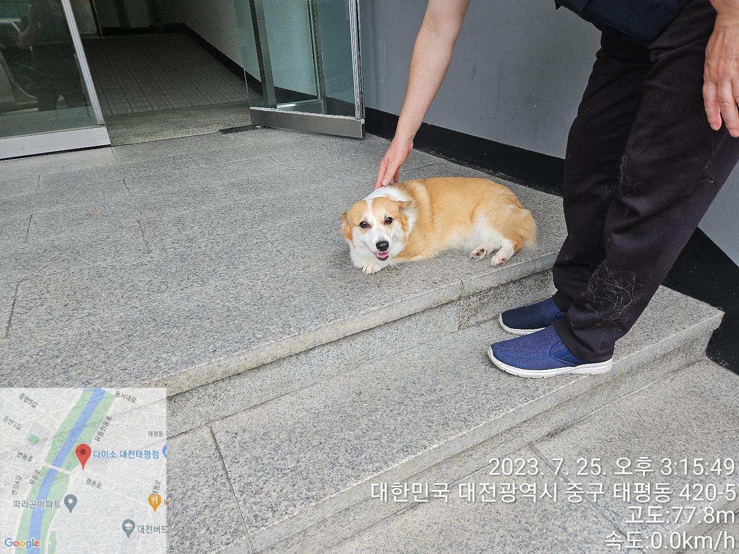 대전동물보호센터_430365202300350