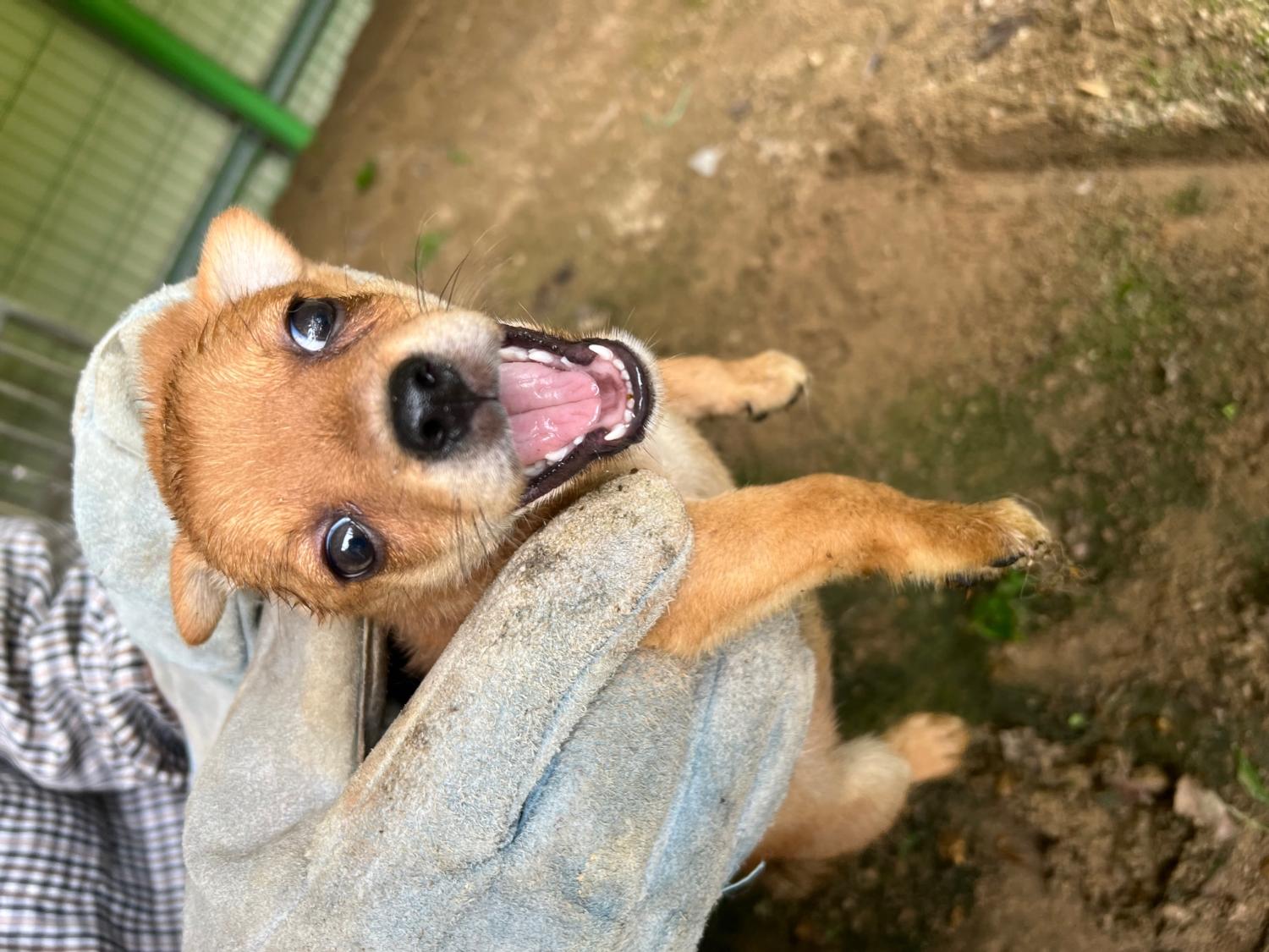 만하농장_448539202300220