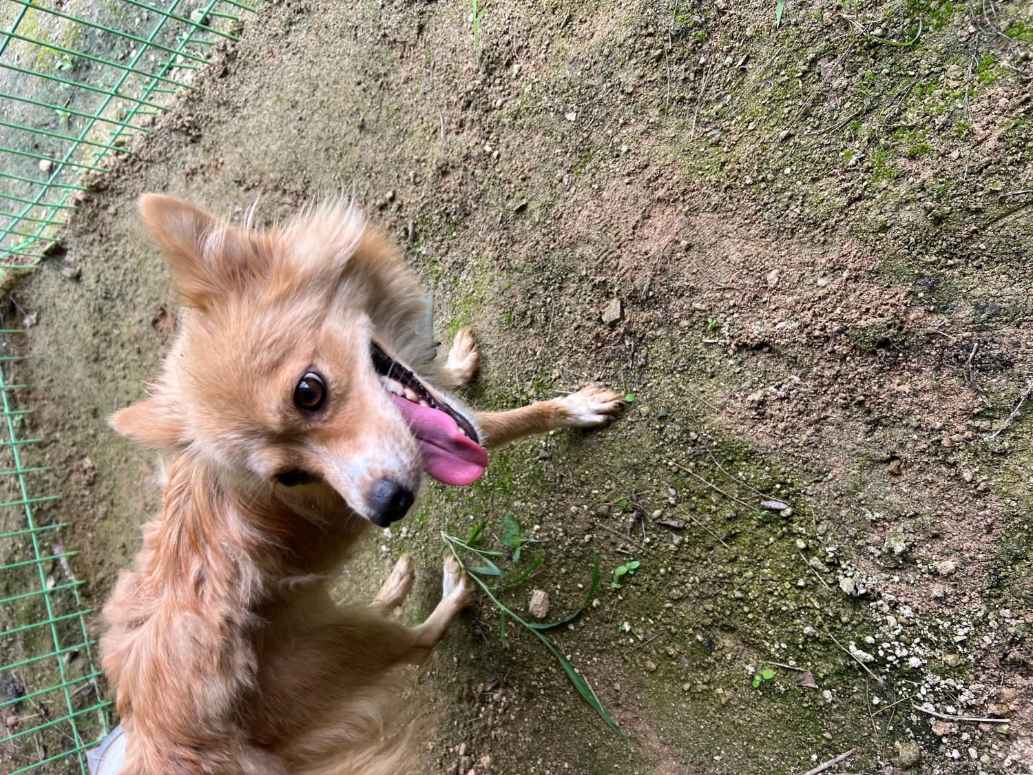 만하농장_448539202300225