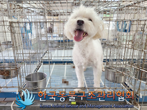 한국동물구조관리협회_411310202300336