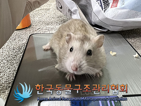 한국동물구조관리협회_411303202300334