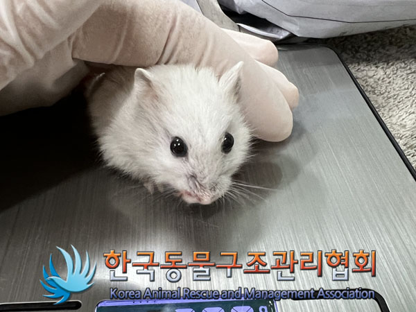 한국동물구조관리협회_411303202300332