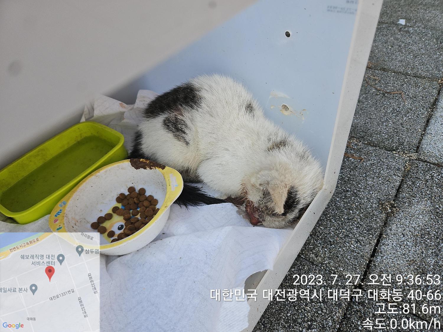 대전동물보호센터_430368202300377