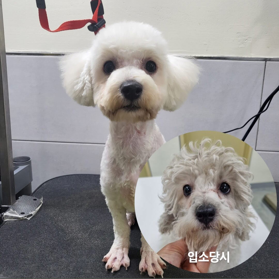 아산동물복지지원센터_444452202301461