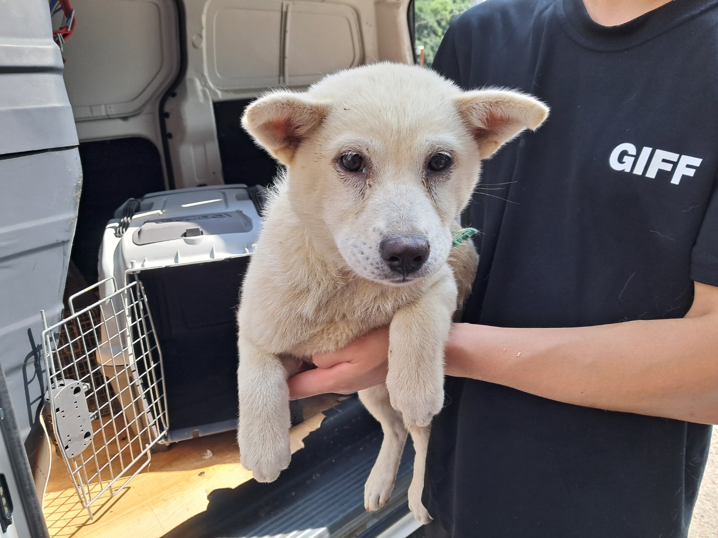 광주TNR동물병원송정_441554202301228