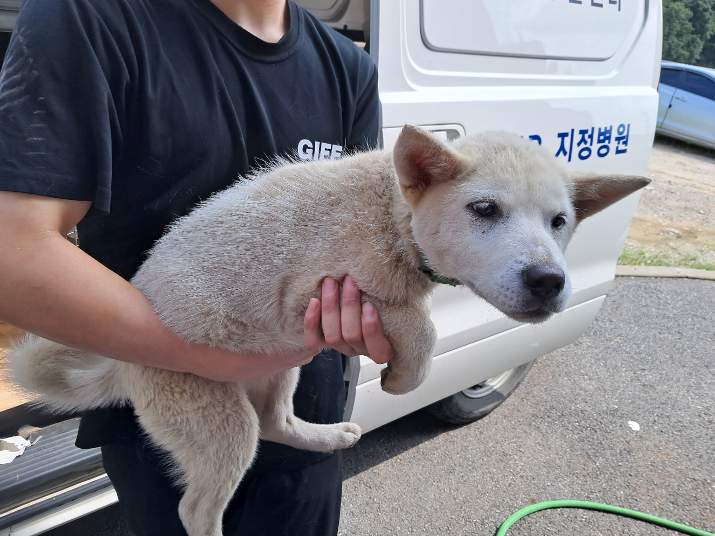 광주TNR동물병원송정_441554202301229
