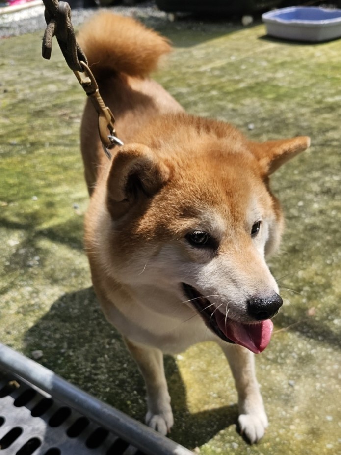 밀양시동물보호센터_448536202301660