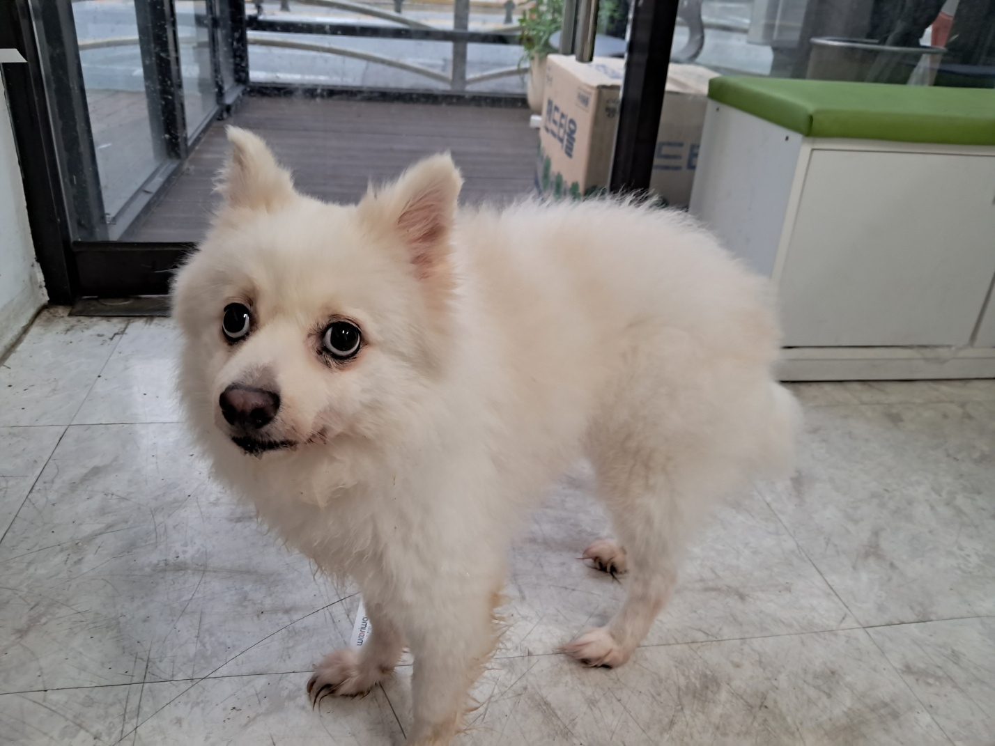 광주TNR동물병원송정_441554202301237