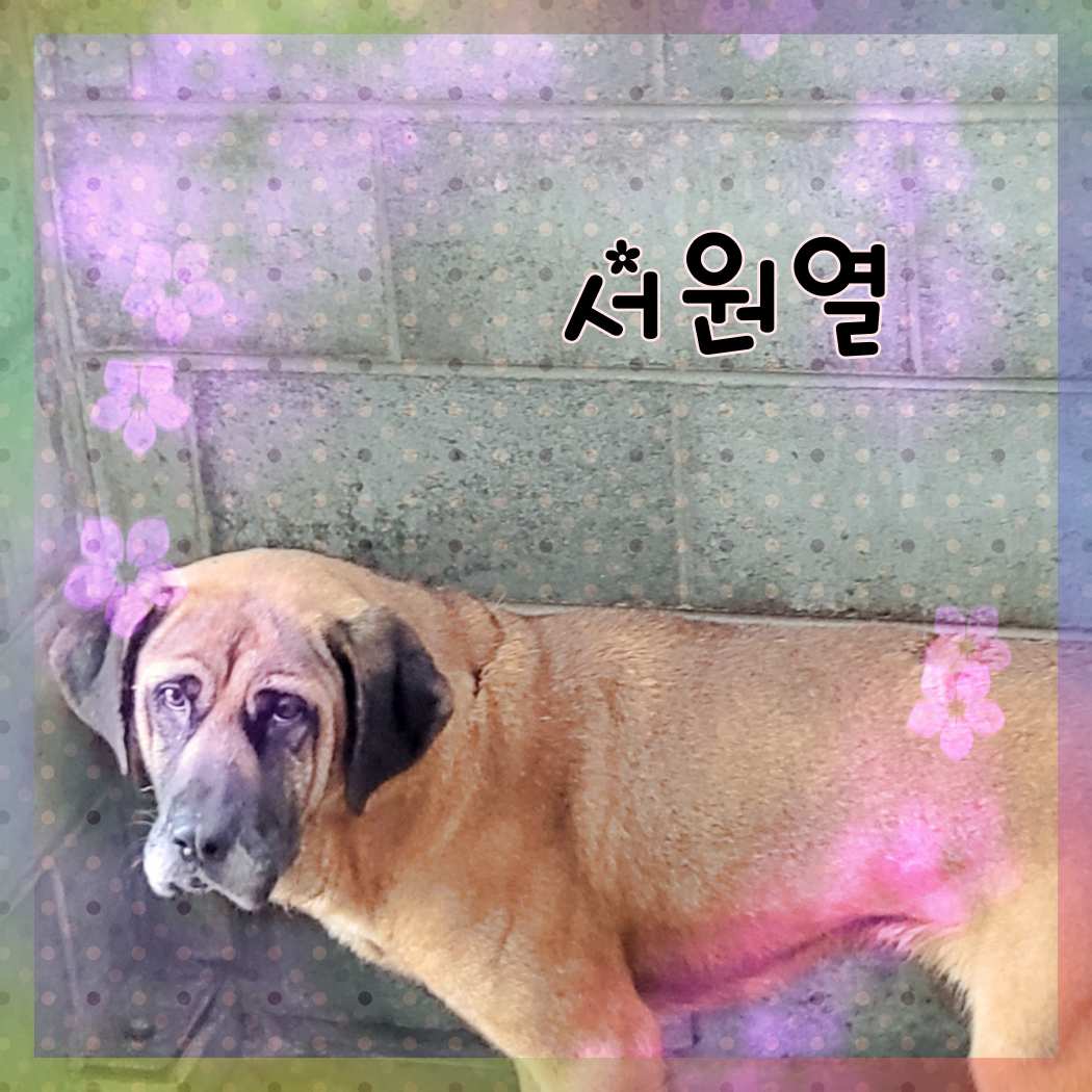 군산유기동물보호센터_445467202301391