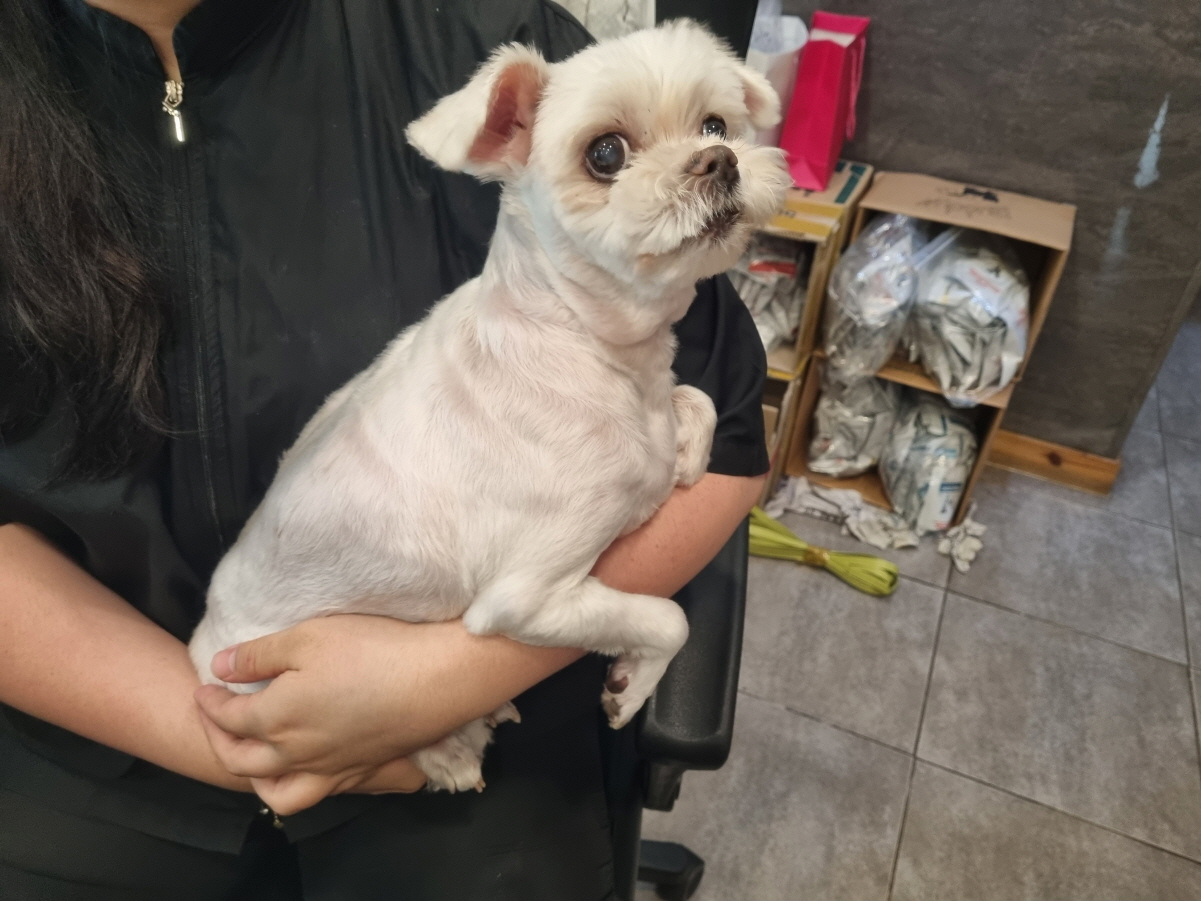 프렌즈동물병원_445464202302622