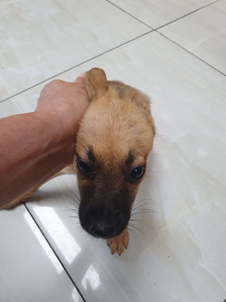 최종주동물병원_443444202300411
