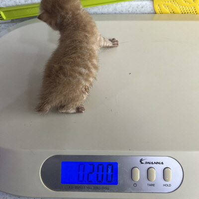 누리동물병원_426331202300238