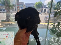대전동물보호센터_430365202300353