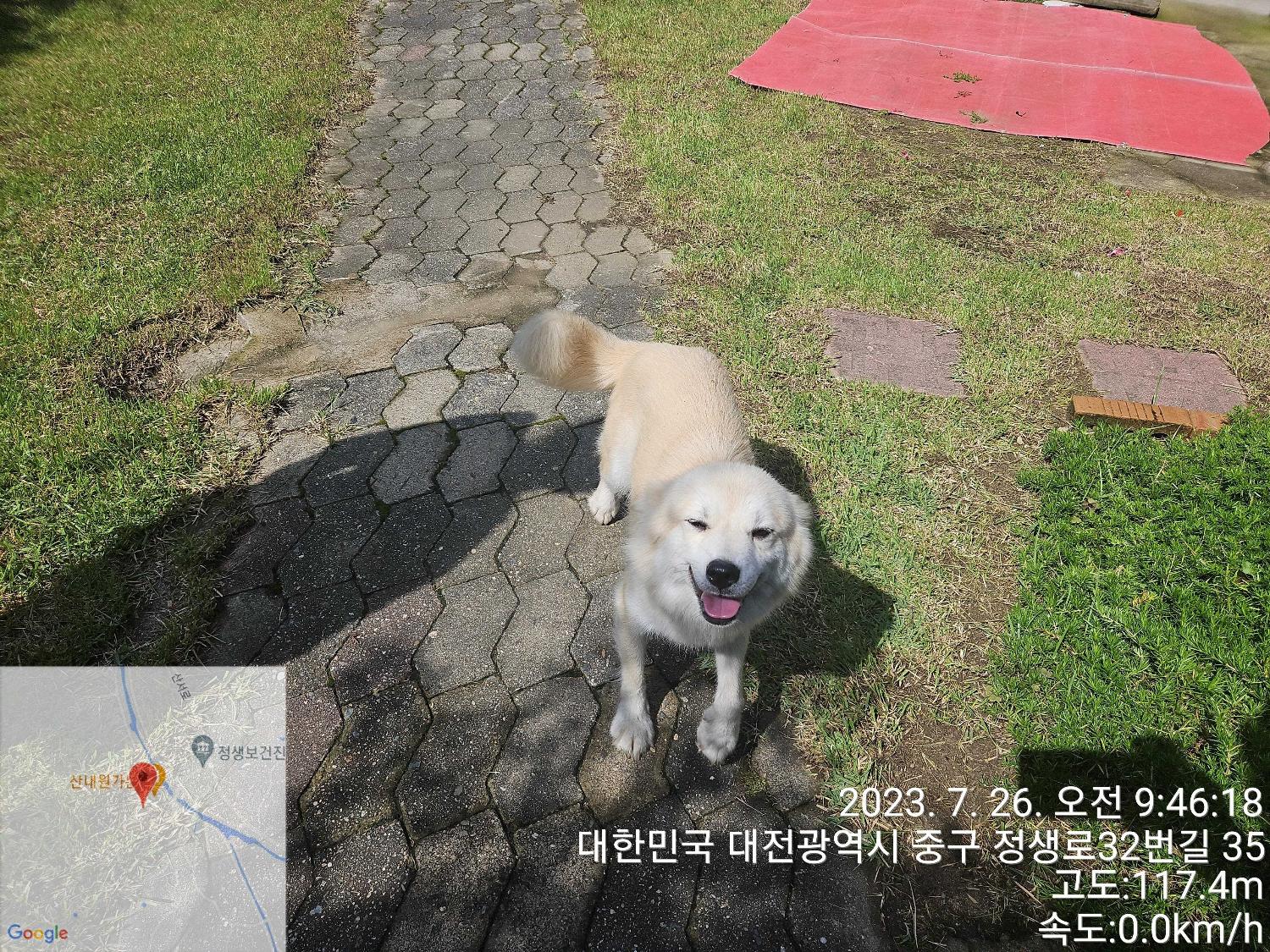 대전동물보호센터_430365202300351