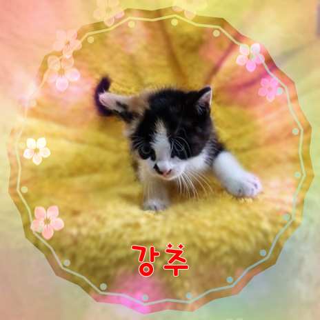 군산유기동물보호센터_445467202301503