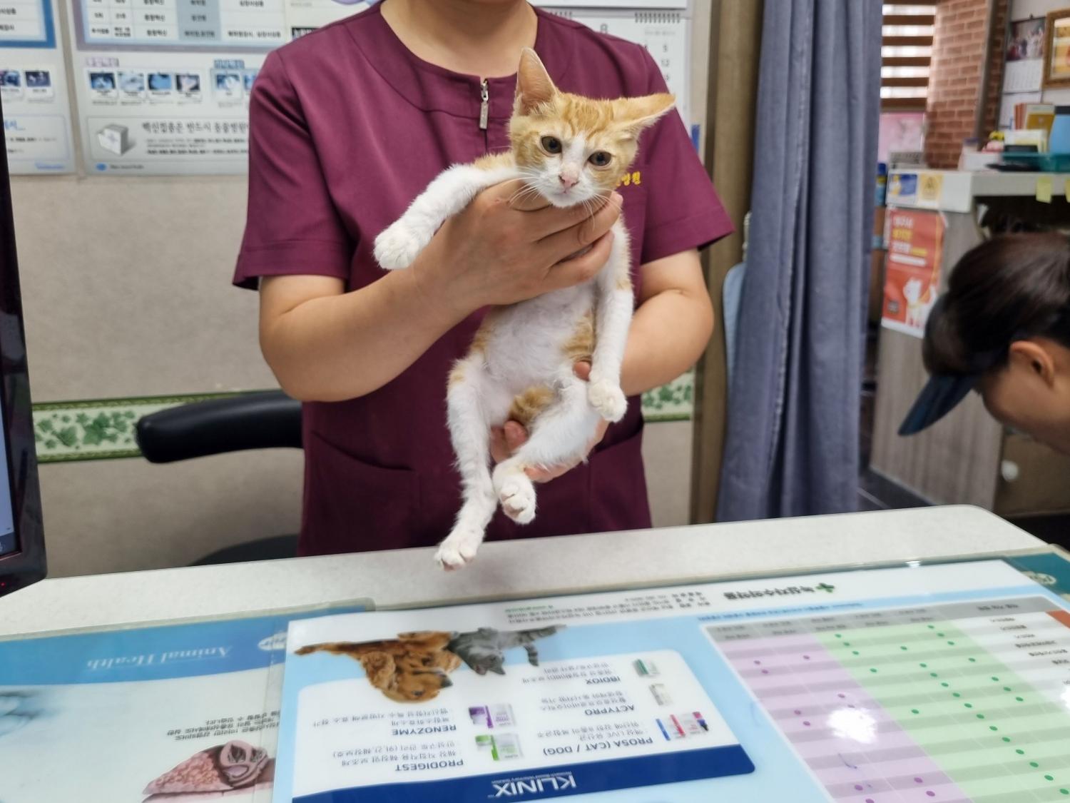 대구시수의사회(보경)_427343202300635