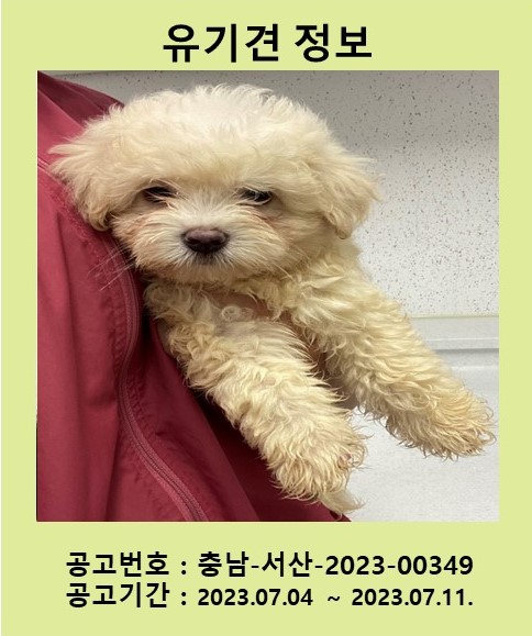 서산시 동물보호센터_444453202300561