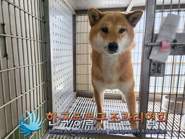 한국동물구조관리협회_411310202300345