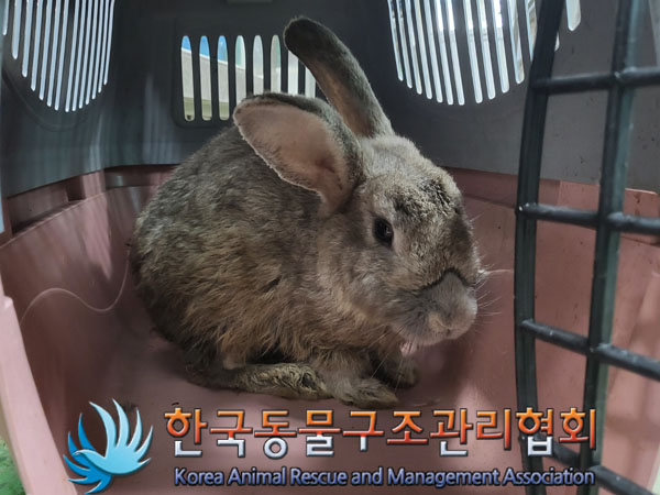 한국동물구조관리협회_411318202300317