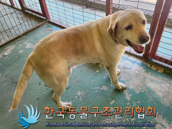 한국동물구조관리협회_411322202300463