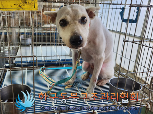 한국동물구조관리협회_441409202301187
