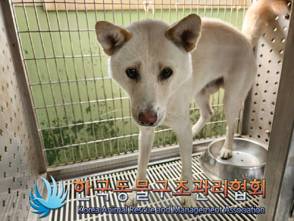 한국동물구조관리협회_441406202301120