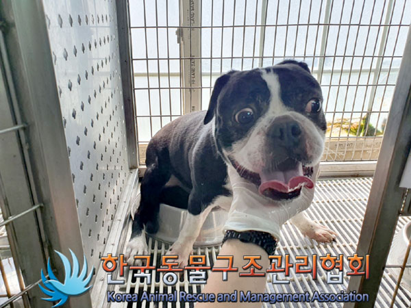 한국동물구조관리협회_411315202300490