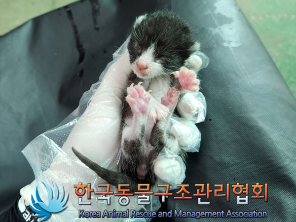 한국동물구조관리협회_441414202300566