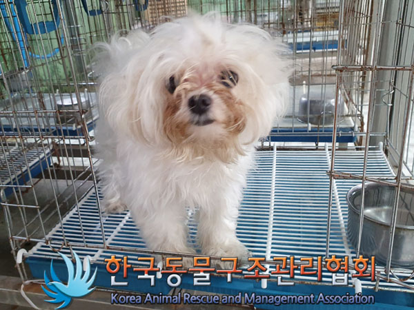 한국동물구조관리협회_411315202300488