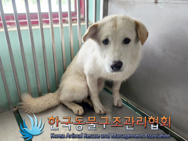 한국동물구조관리협회_441409202301197