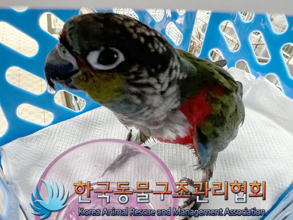 한국동물구조관리협회_411306202300509
