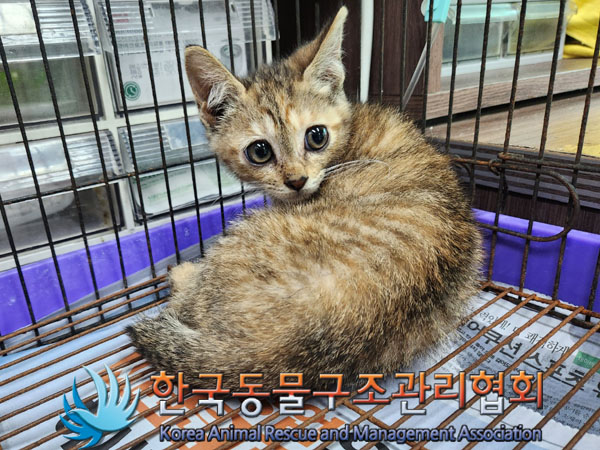 한국동물구조관리협회_441414202300568