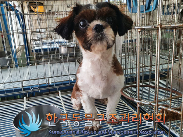 한국동물구조관리협회_411307202300265