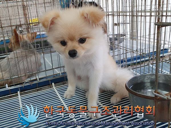 한국동물구조관리협회_411323202300738