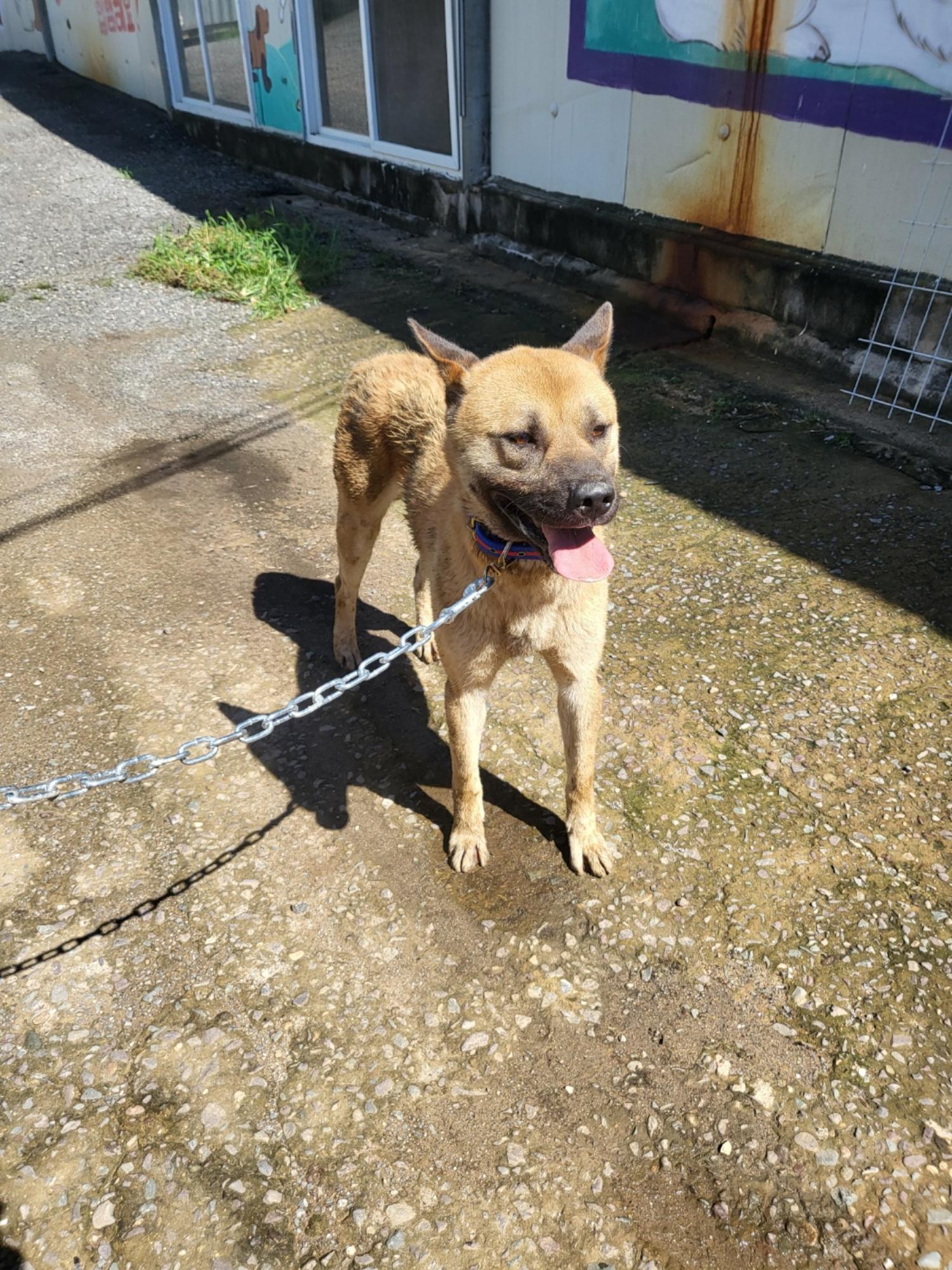 성주유기동물보호센터_447521202300253