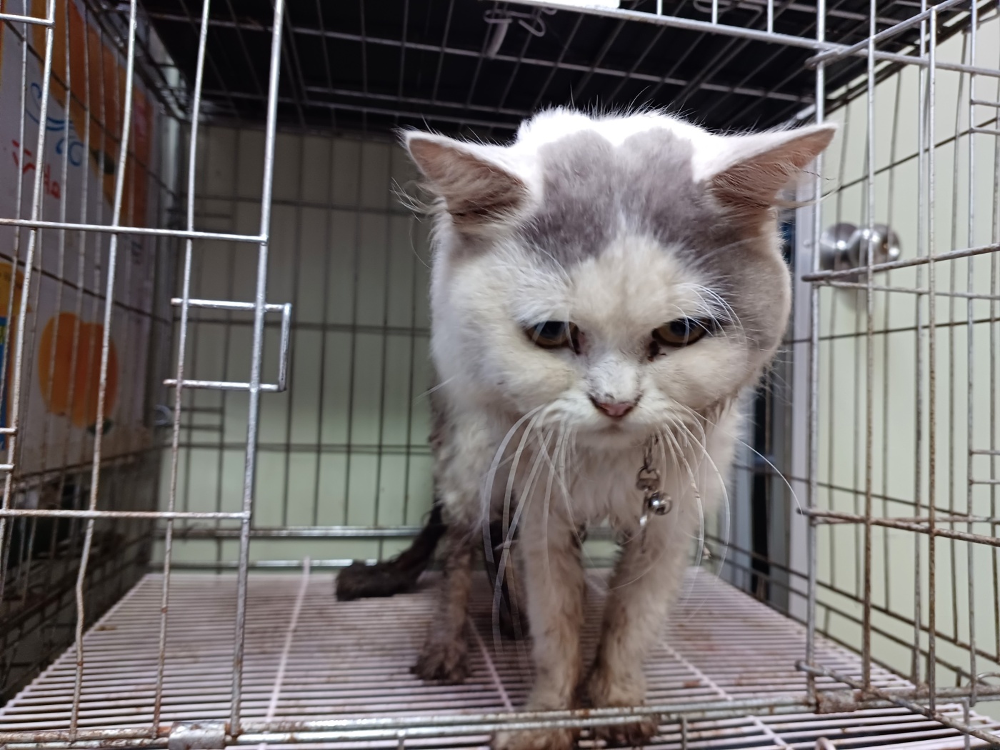 행복한동물병원_445464202302640