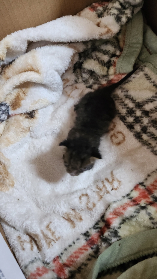 익산유기동물보호소_445468202301537