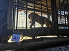 전북말산업복합센터_445471202300361
