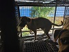 전북말산업복합센터_445471202300362