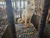 전북말산업복합센터_445471202300400