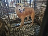 전북말산업복합센터_445471202300410