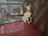 전북말산업복합센터_445471202300427